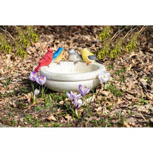 Load image into Gallery viewer, Backyard Birds Bath/Feeder
