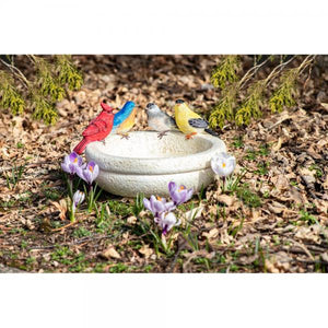 Backyard Birds Bath/Feeder