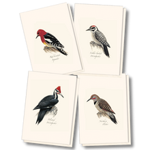 Load image into Gallery viewer, Peterson Western Woodpecker Notecards
