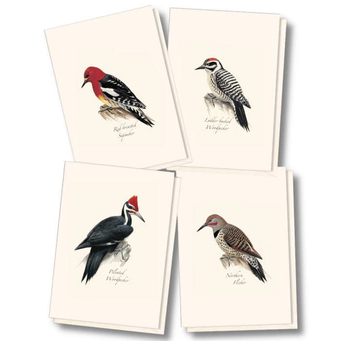 Peterson Western Woodpecker Notecards