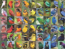 Load image into Gallery viewer, Rainbow of Birds 1000 Piece Puzzle
