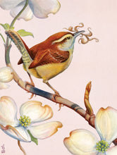Load image into Gallery viewer, Carolina Wren 500 Piece Puzzle
