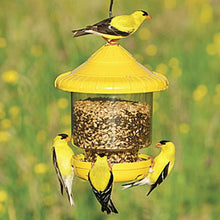 Load image into Gallery viewer, Clingers Only Feeder Yellow
