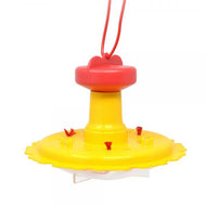 Butterfly Feeder