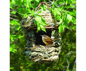 Acorn Roosting House