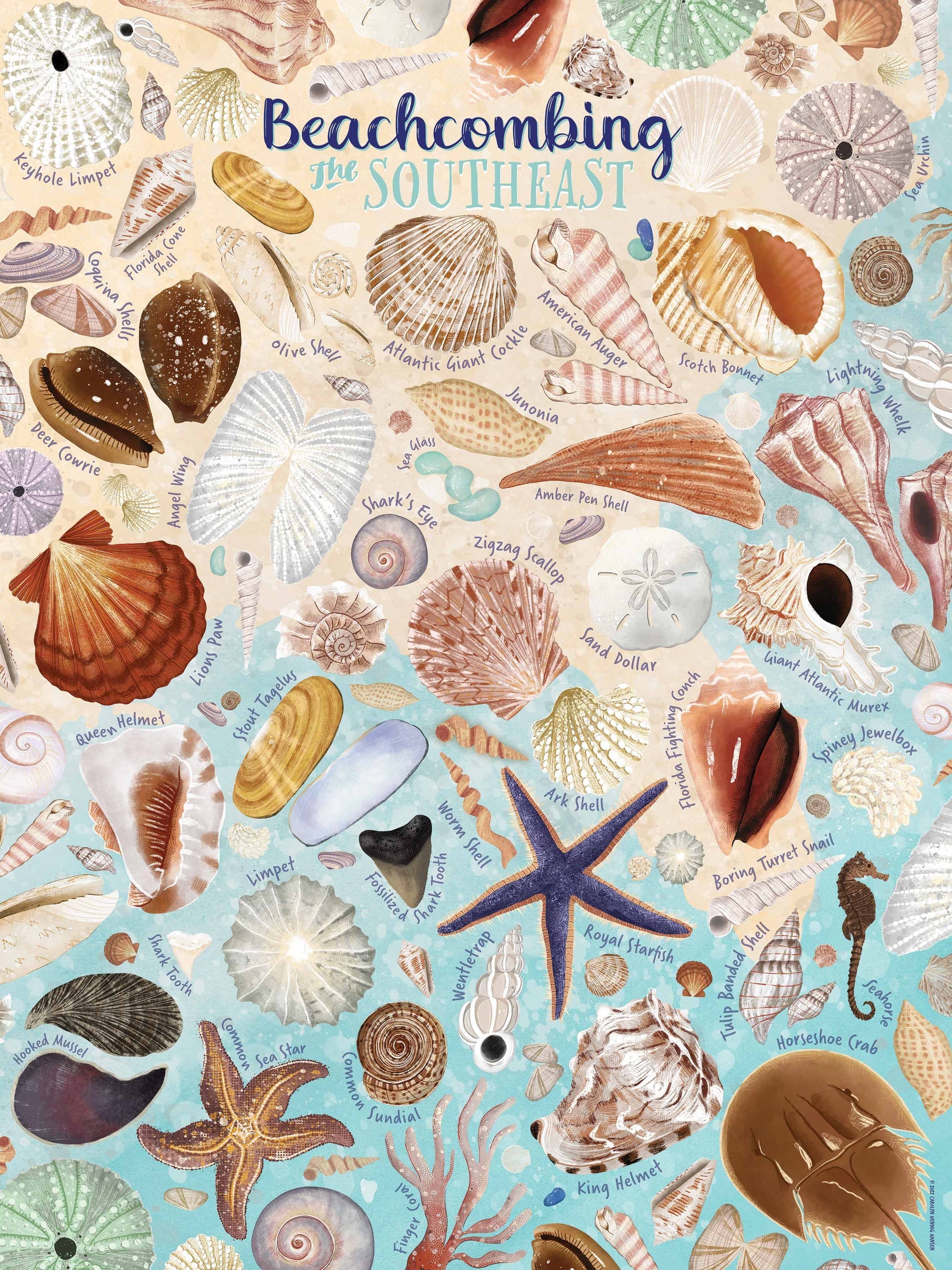 Beachcombing