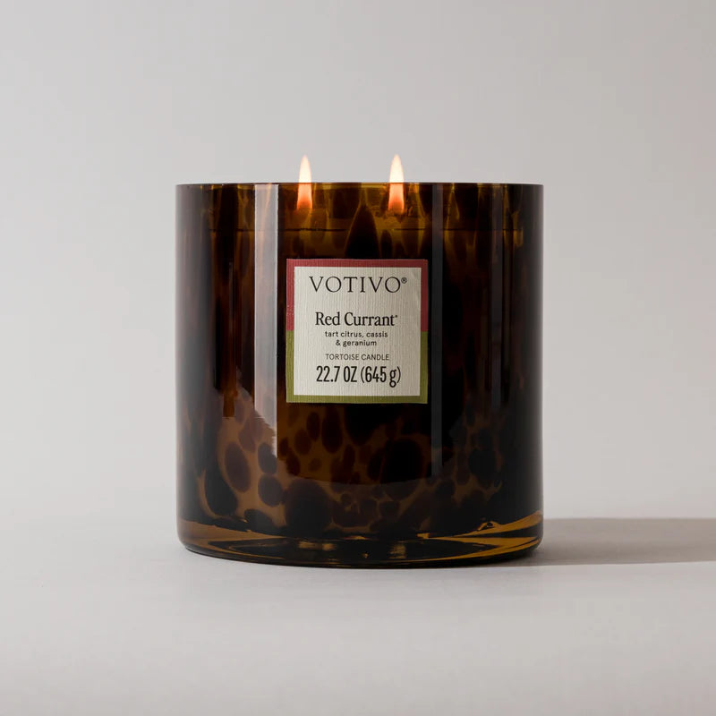 Tortoise Candle Red Currant