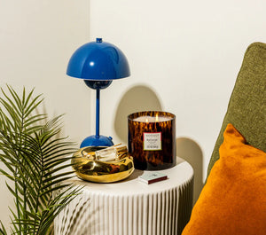 Tortoise Candle Red Currant
