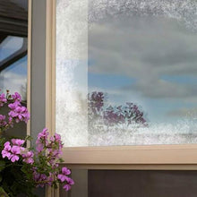 Load image into Gallery viewer, Stop Bird Attack Window Spray
