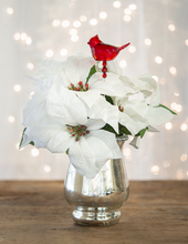 Load image into Gallery viewer, Cardinal of Comfort Floral Stake
