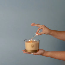 Load image into Gallery viewer, Votivo Icy Blue Pine 3 Wick Candle
