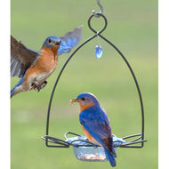 Bluebird Flower Feeder