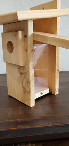 Open 2-Sided BB House-Pine