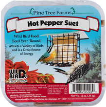 PTF Hot Pepper Suet