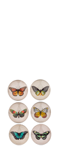 Load image into Gallery viewer, Butterfly Magnet
