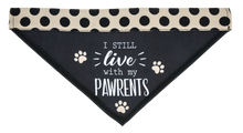 Load image into Gallery viewer, Dog Bandanas
