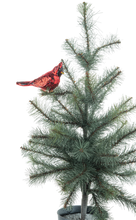Load image into Gallery viewer, Cardinal Clip Ornament

