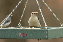 Load image into Gallery viewer, Recycled Tray Feeder (Green)
