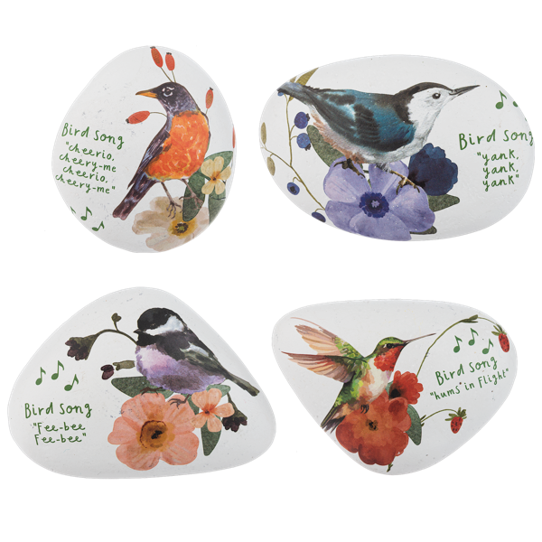 Birdsong Art Rocks