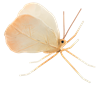 Load image into Gallery viewer, Resin Butterfly Figurine
