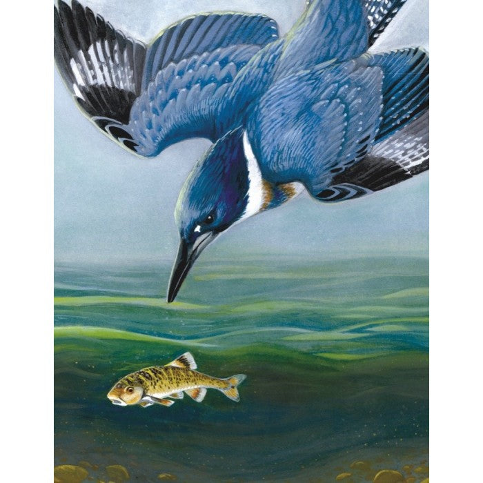 Belted Kingfisher Mini 100 Piece Jigsaw Puzzle