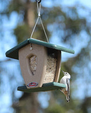 Load image into Gallery viewer, Recycled Mini Moraine Hopper Feeder (Green/Chocolate)
