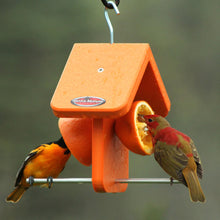 Load image into Gallery viewer, Recycled Orange Oriole Fruit Feeder (Single)
