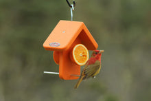 Load image into Gallery viewer, Recycled Orange Oriole Fruit Feeder (Single)
