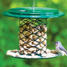 Load image into Gallery viewer, In Shell Peanut Feeder 2 QT
