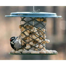 Load image into Gallery viewer, In Shell Peanut Feeder 2 QT

