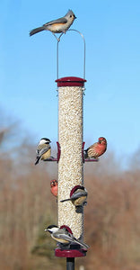 Seed Tube Feeder - Stick Perches - Berry