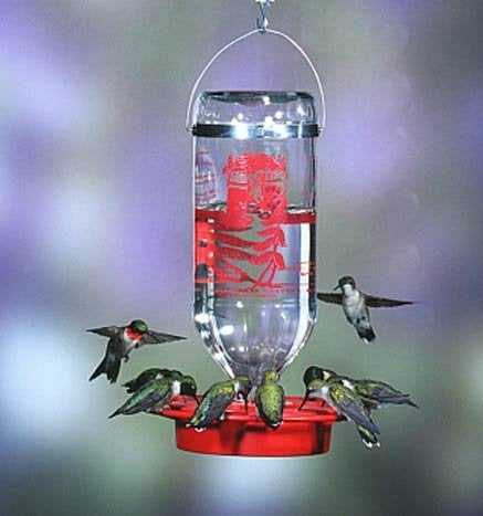 Hummingbirds | Birdhouse on the Greenway – Bird House on the Greenway