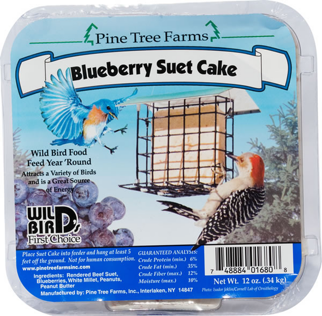 Blueberry Suet Cake