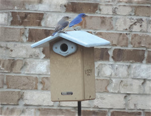 Ultimate Bluebird House - Recycled