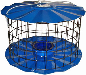 Bluebird Caged Mealworm Feeder - Blue