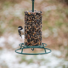 Load image into Gallery viewer, EZ Cylinder Feeder
