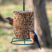Load image into Gallery viewer, EZ Cylinder Feeder
