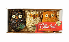 Load image into Gallery viewer, Ollie the Owl Seed Treat Trio

