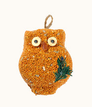 Load image into Gallery viewer, Ollie the Owl Seed Treat Trio
