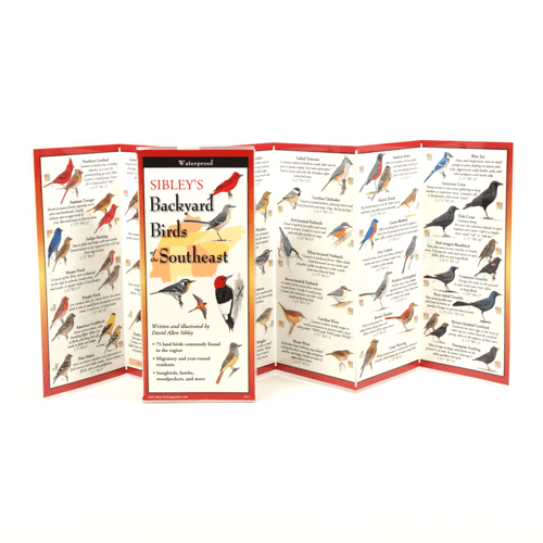 Sibley's Backyard Birds of the Southeast Folding Guide - David Allen Sibley