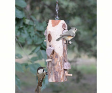Load image into Gallery viewer, Suet Log Feeder - With Perches
