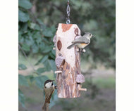 Suet Log Feeder - With Perches